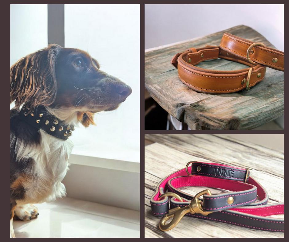 Australian leather dog collars