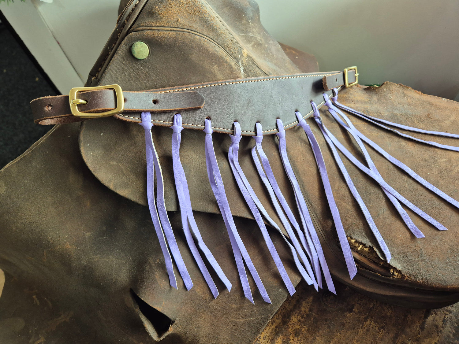 Horse gear & Farm