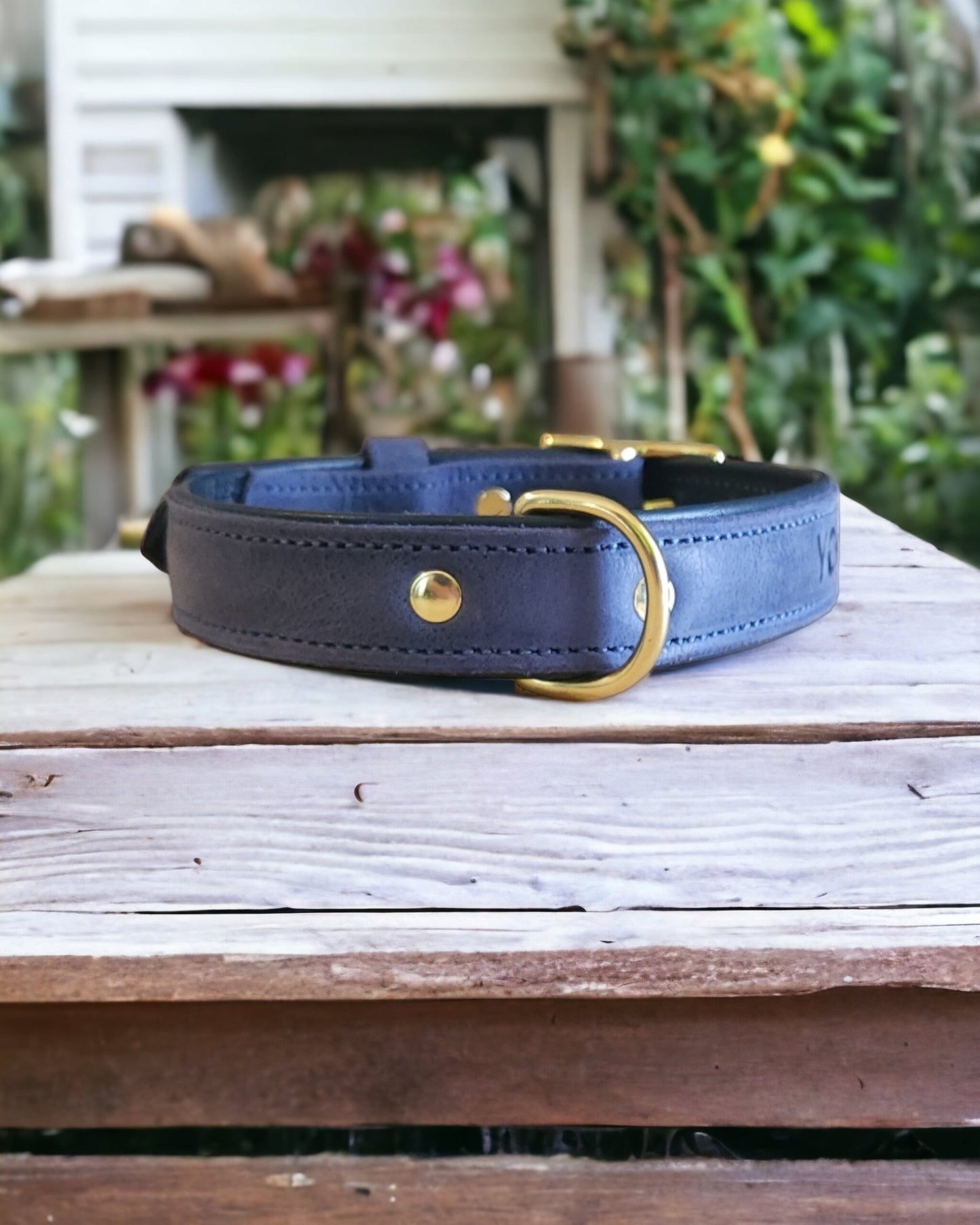 Middle d ring leather dog collars