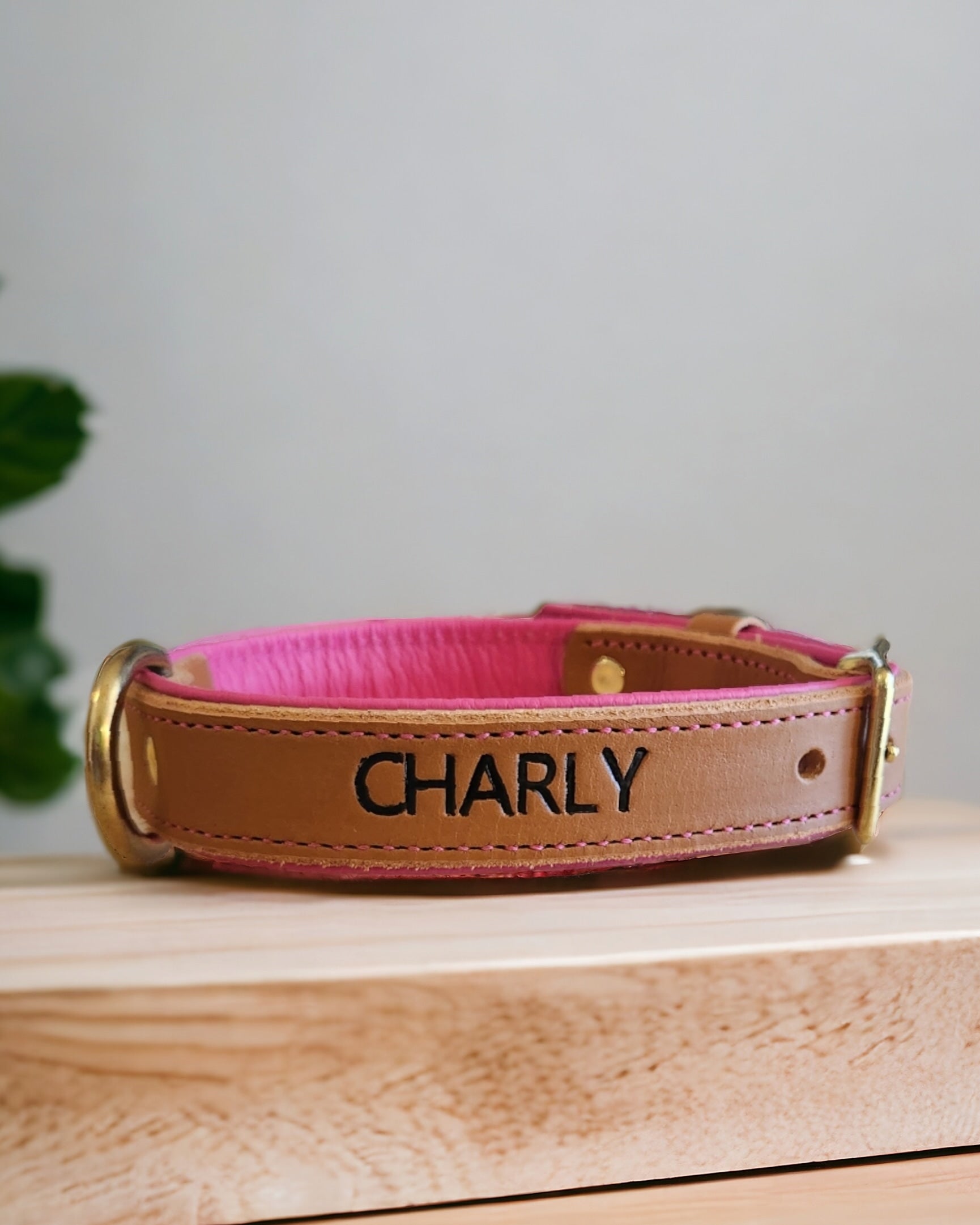 Middle d ring leather dog collars WK D