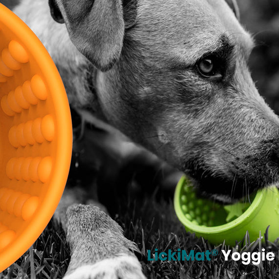 Lickimat Yoggie Pot Slow Feeder Dog Bowl