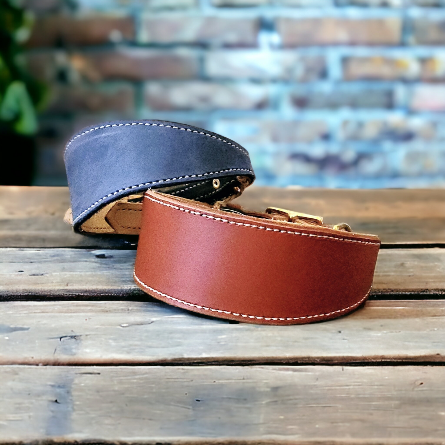 Lined leather hound collars