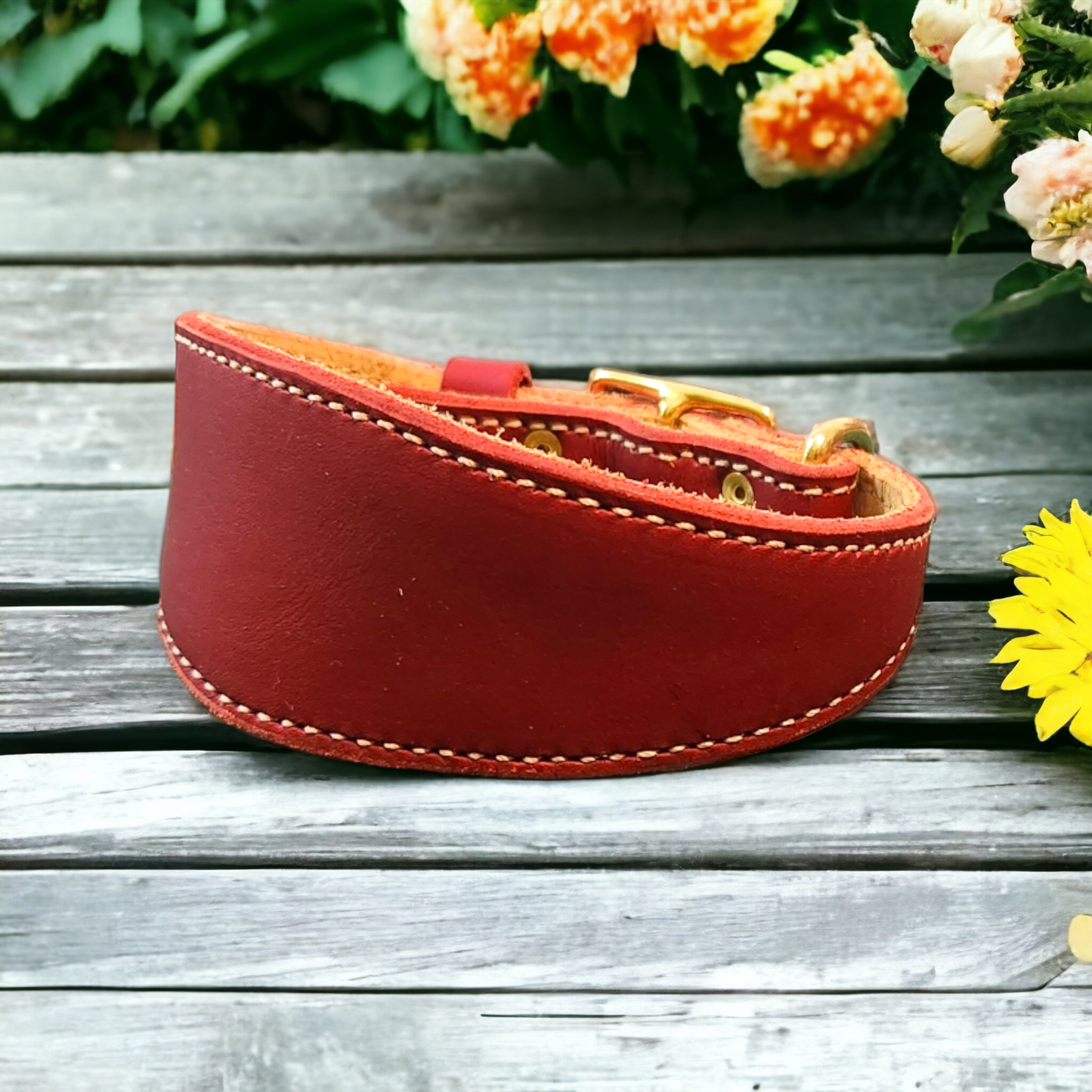 Lined leather hound collars