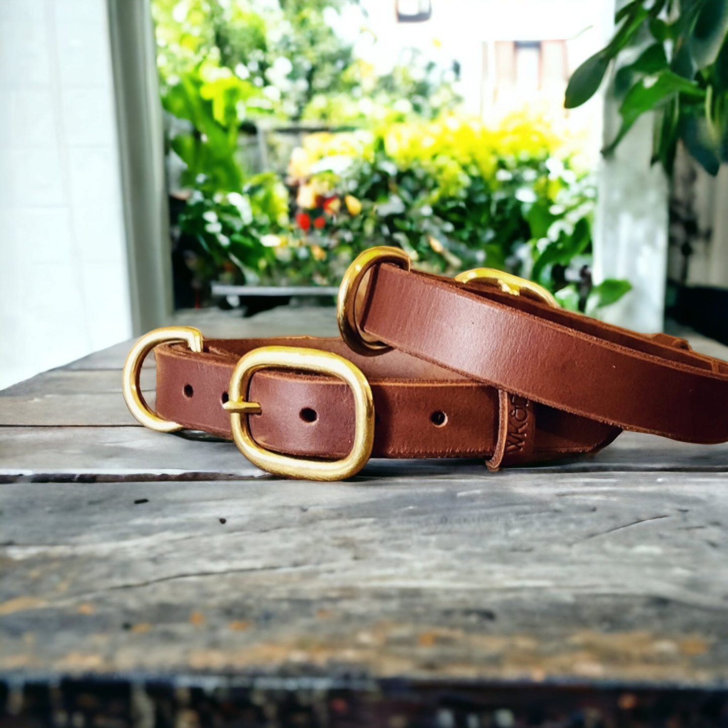 The working or larger, leather dog collar in brass swage buckles