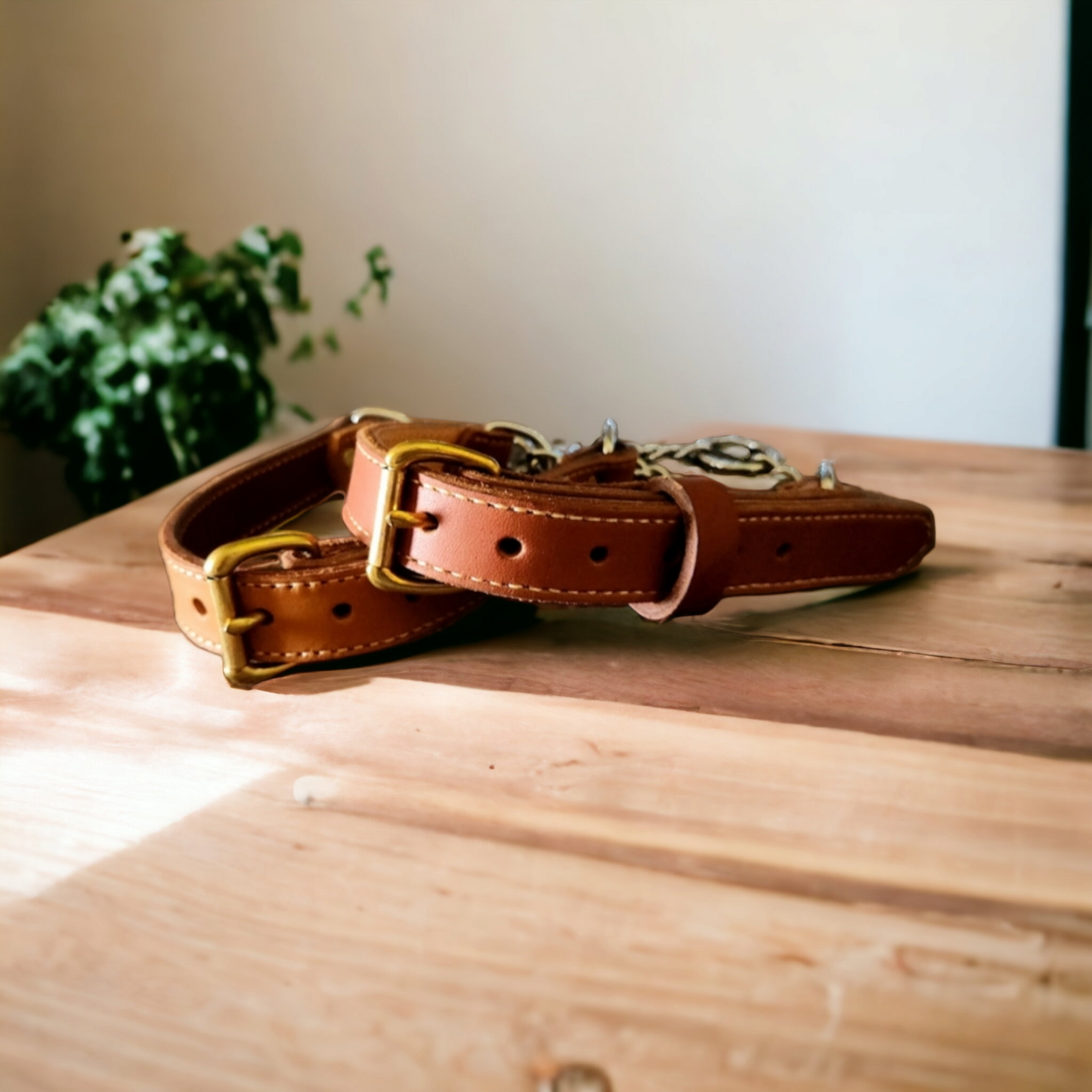 Lined Leather Martingale collars