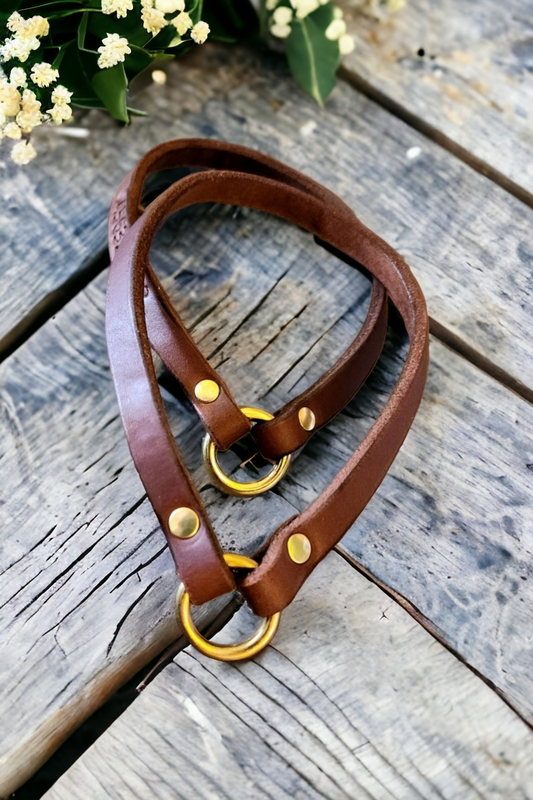 ID & Medical ID Leather Collars