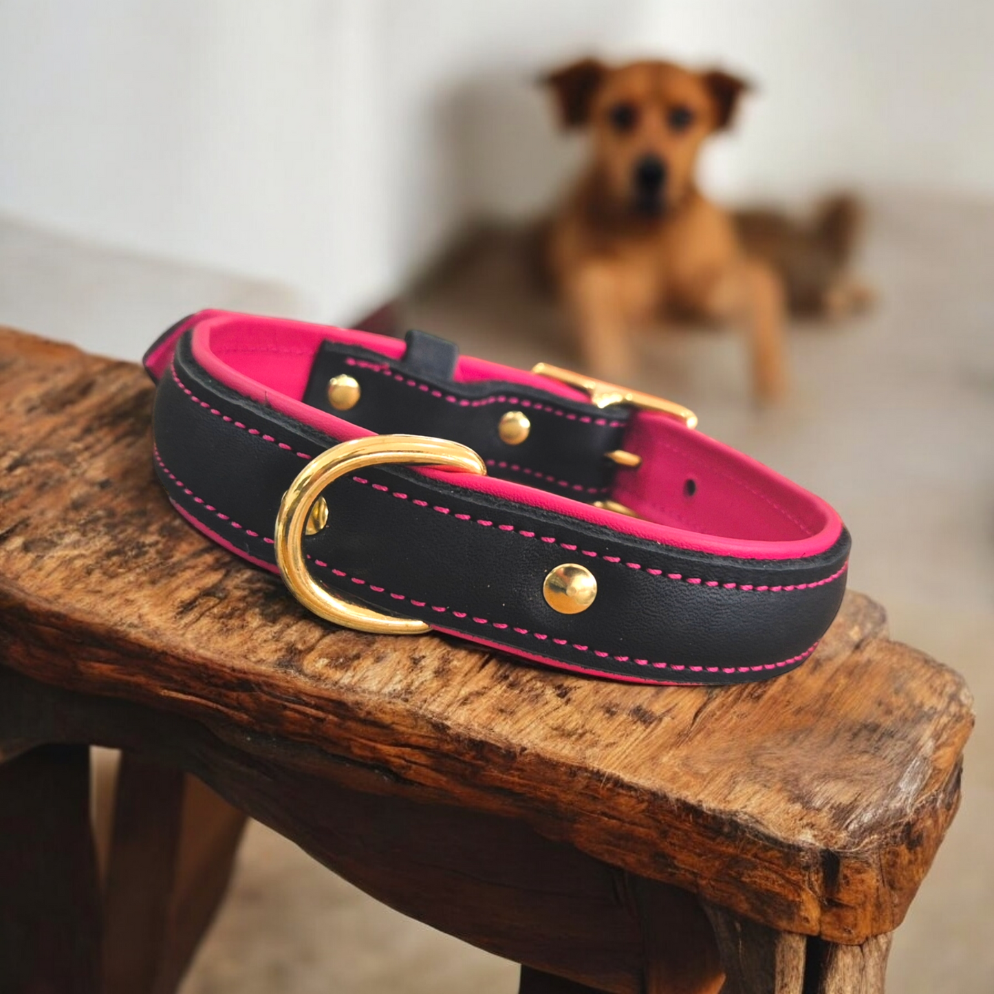 16mm Middle d ring leather dog collars