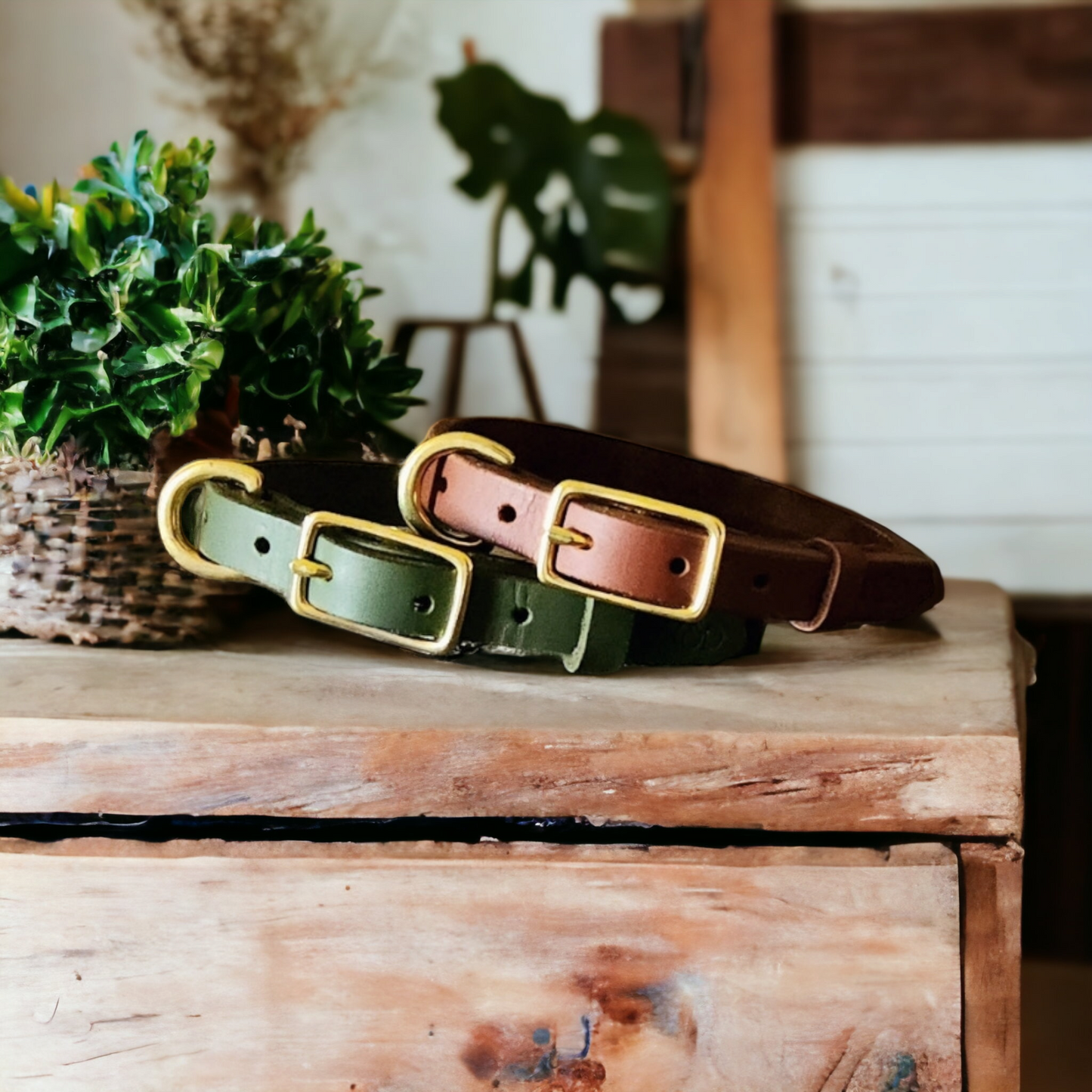 Country style dog collars with rectangle buckle
