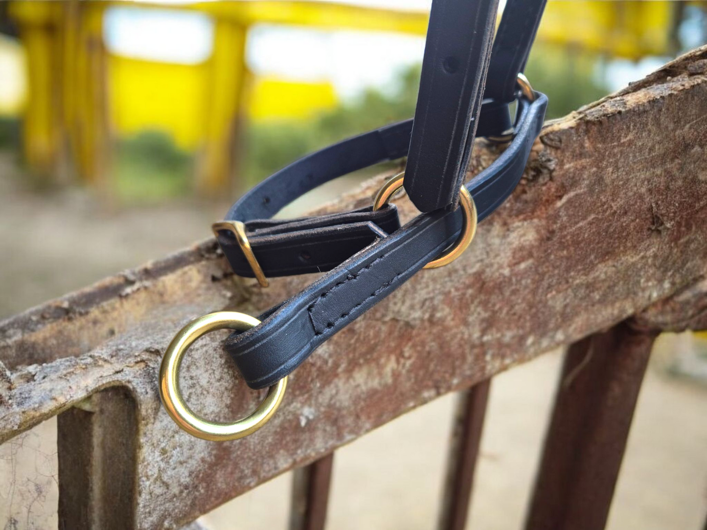Easy lead Sheep halters