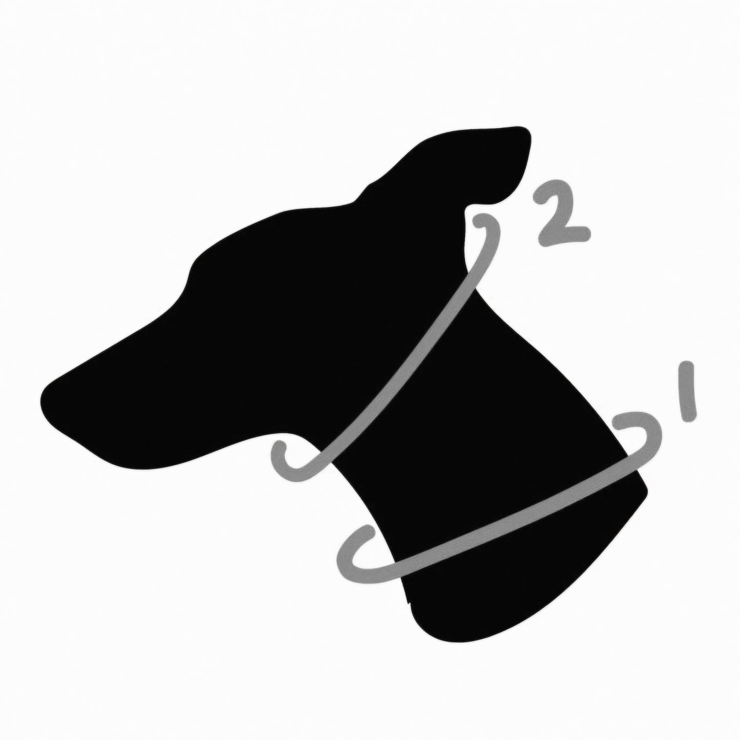 Lined Leather Martingale collars