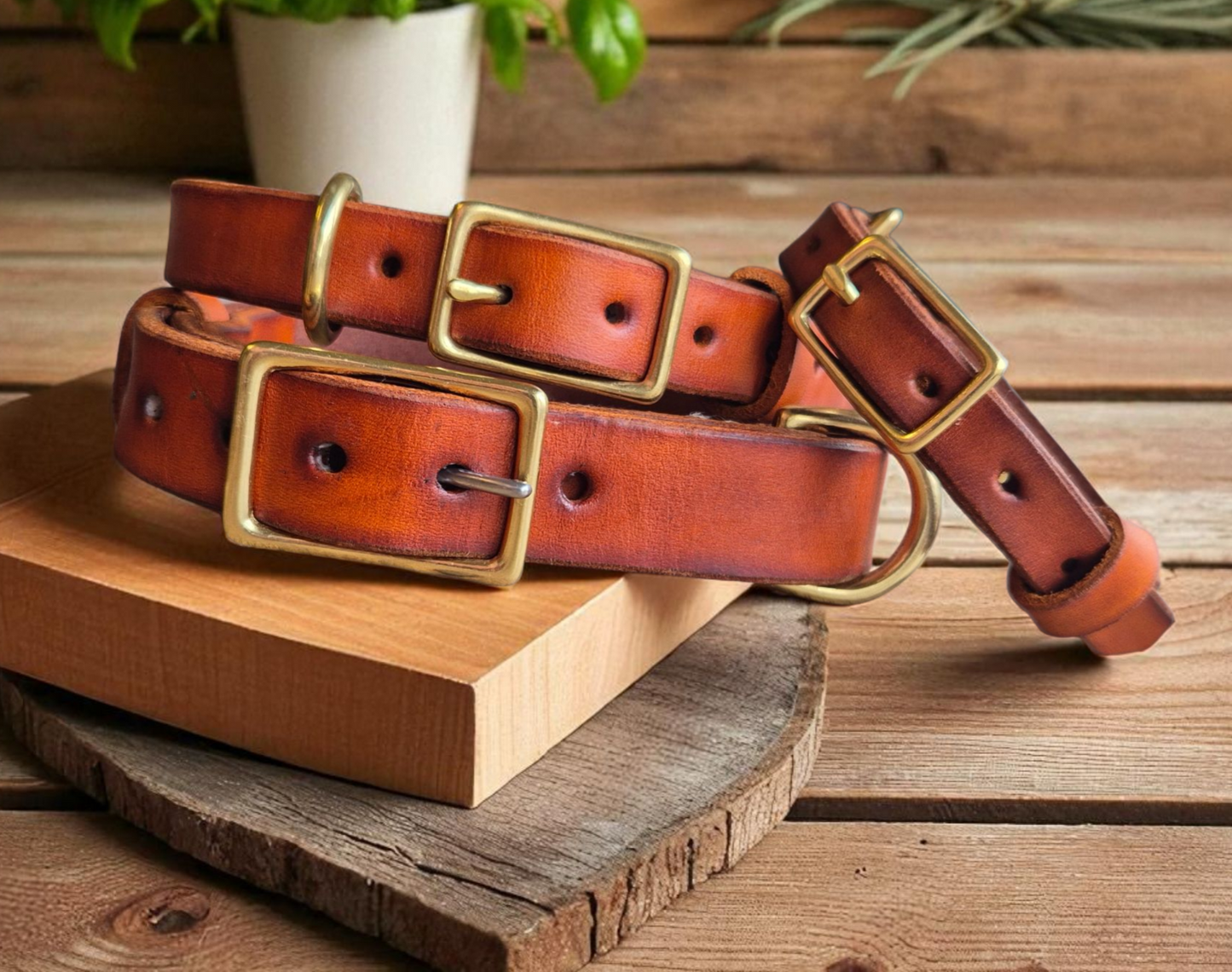 Country style dog collars with rectangle buckle