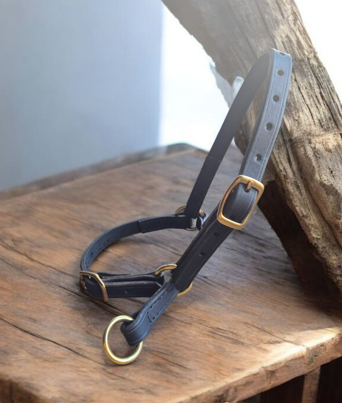 Easy lead Sheep halters