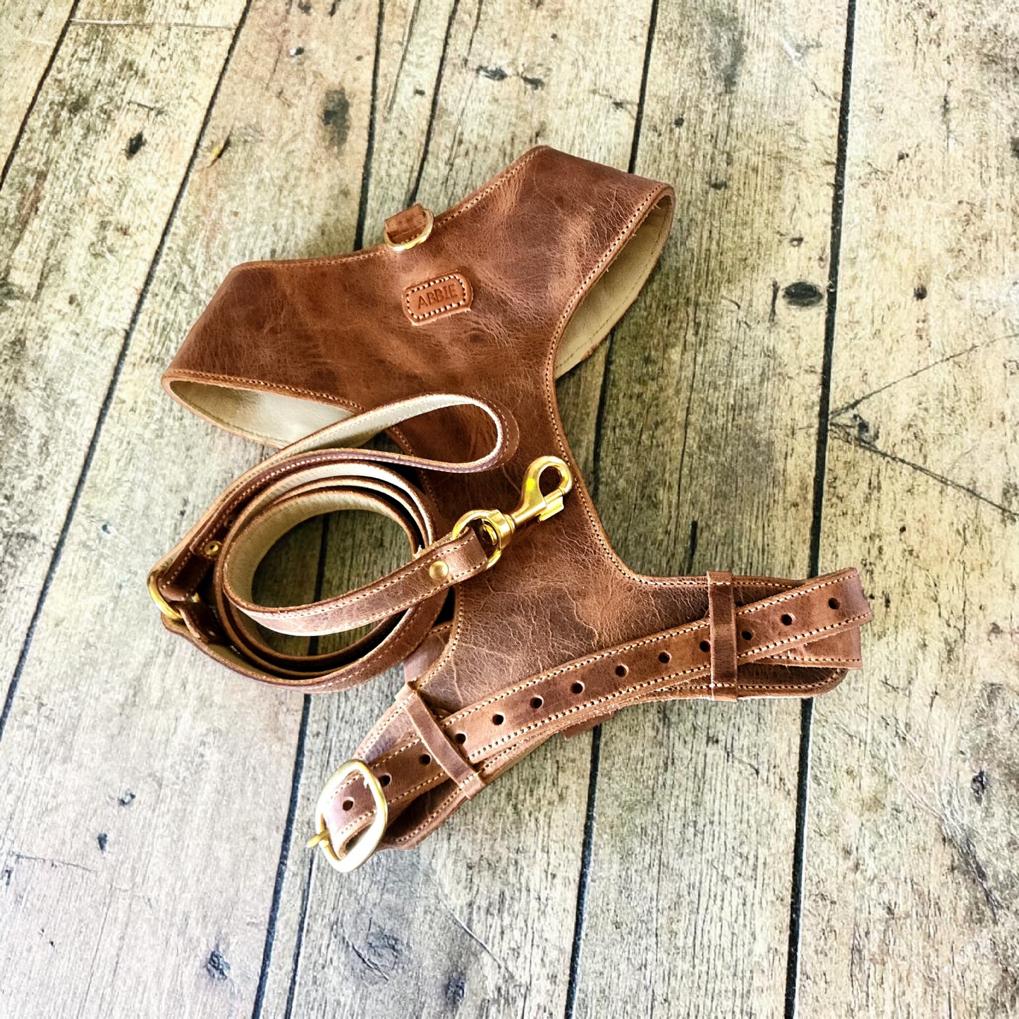 "Amelia" Whisky Australian leather dog harness