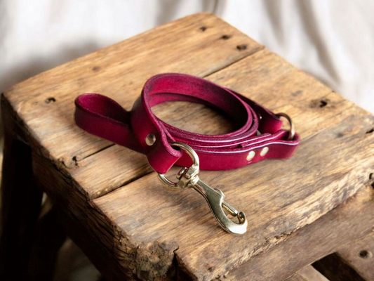 Leather dog leashes