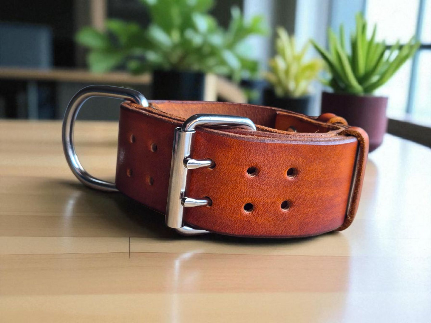 5cm wide leather dog collar
