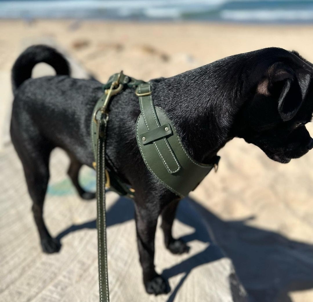 "Amelia" Green Australian leather dog harness