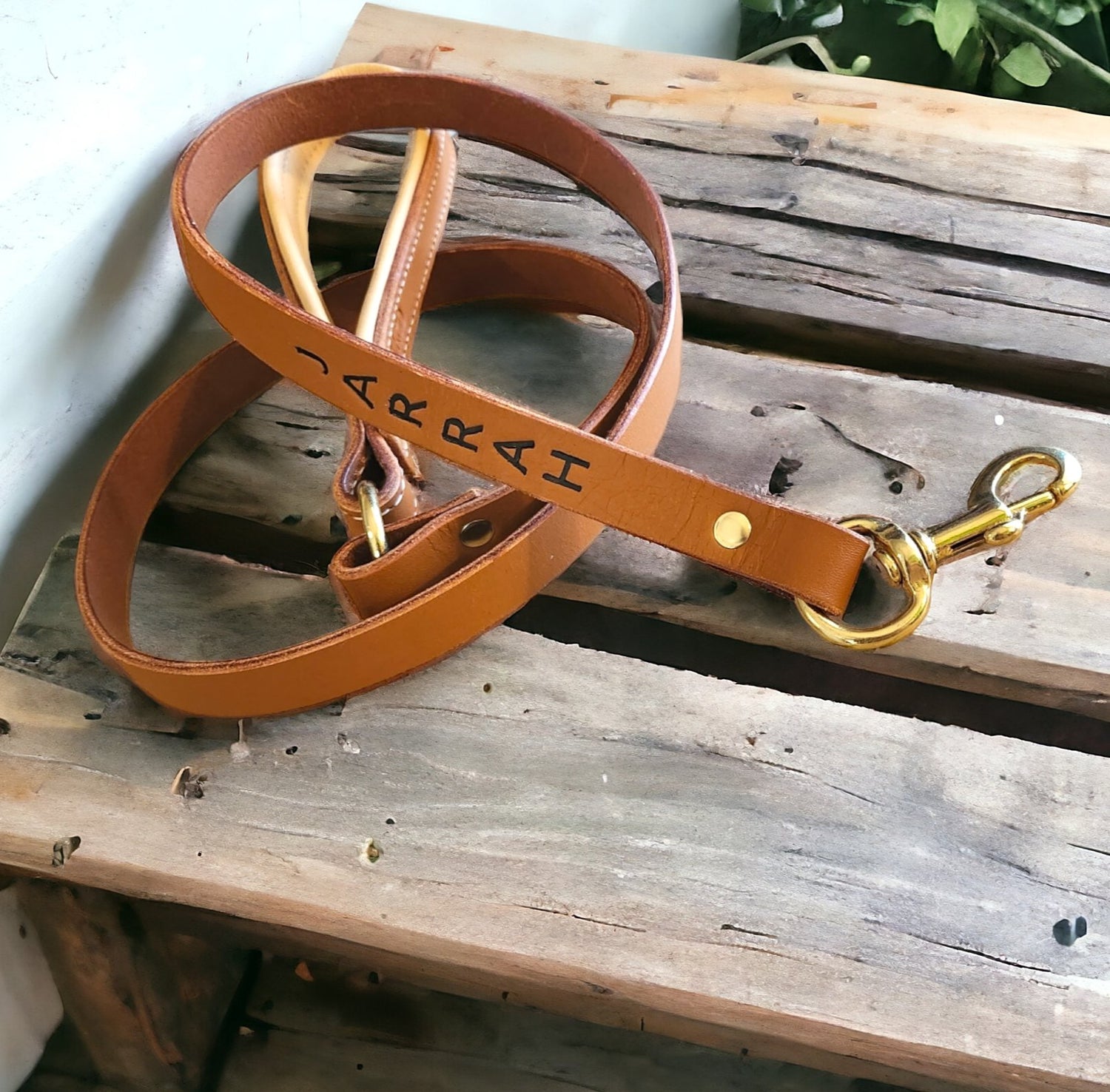 Leashes