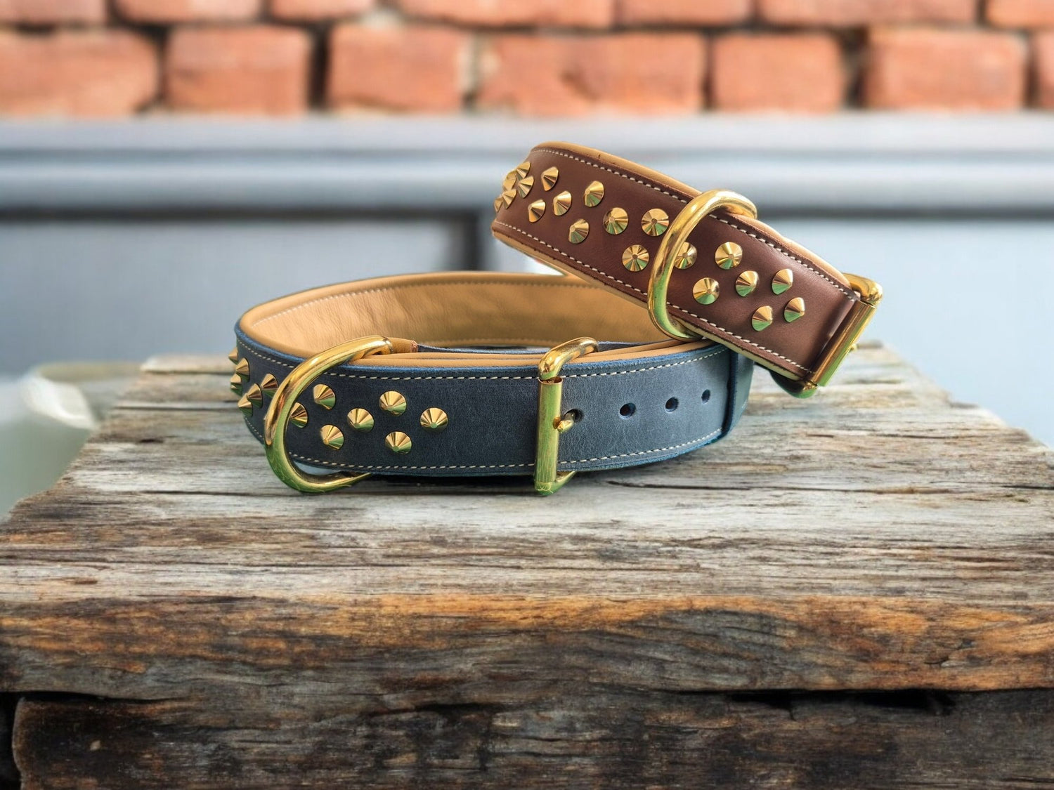 Dog collars
