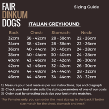Italian Greyhound, Whippet and Lurcher Design