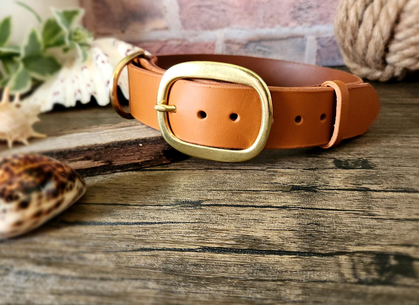 3.8cm wide Country style dog collars