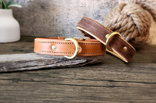 Leather Working Dog Collar  Buy Australia Made Leather Dog Collars - Angus  Barrett Saddlery