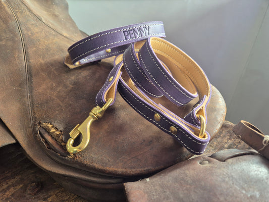 Lined leather leashes