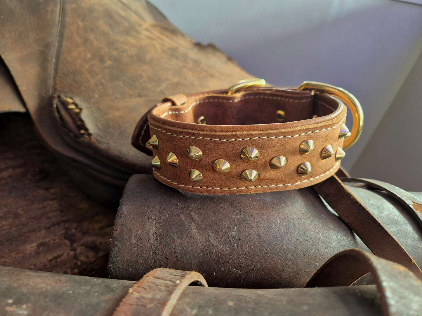 3.8cm wide studded leather dog collars