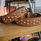 3.8cm wide studded collars