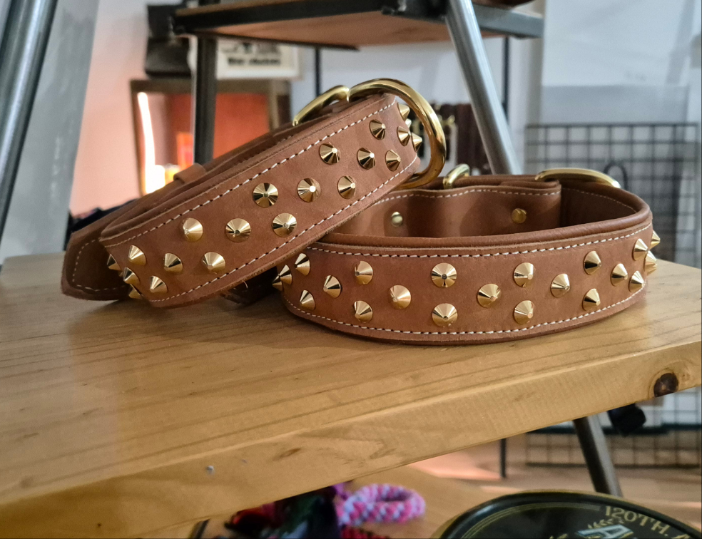 3.8cm wide studded collars