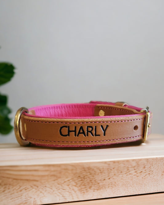 Middle d ring leather dog collars