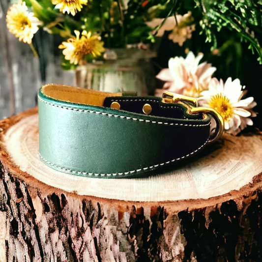 Lined leather hound collars