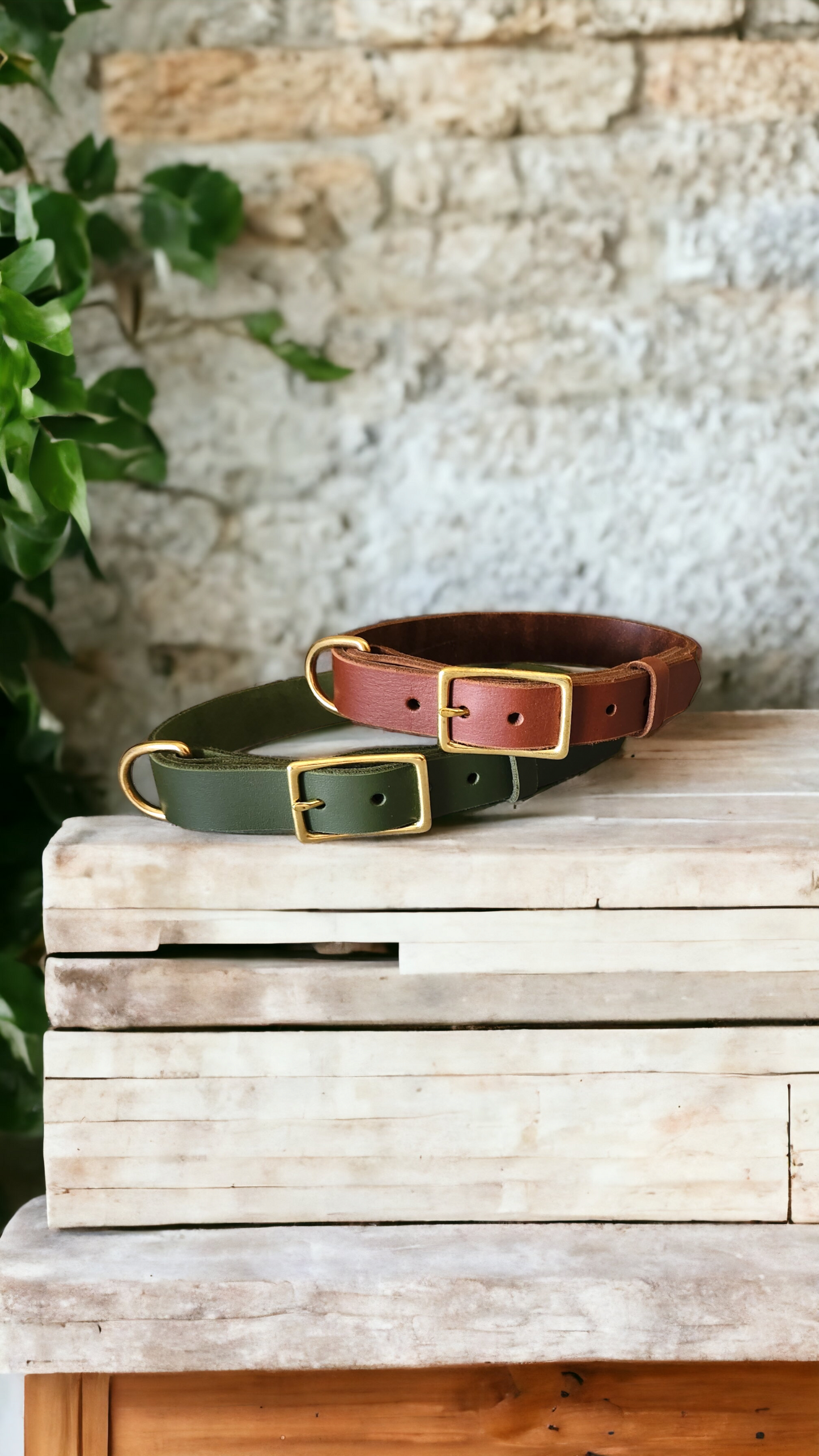 Country style dog collars with rectangle buckle