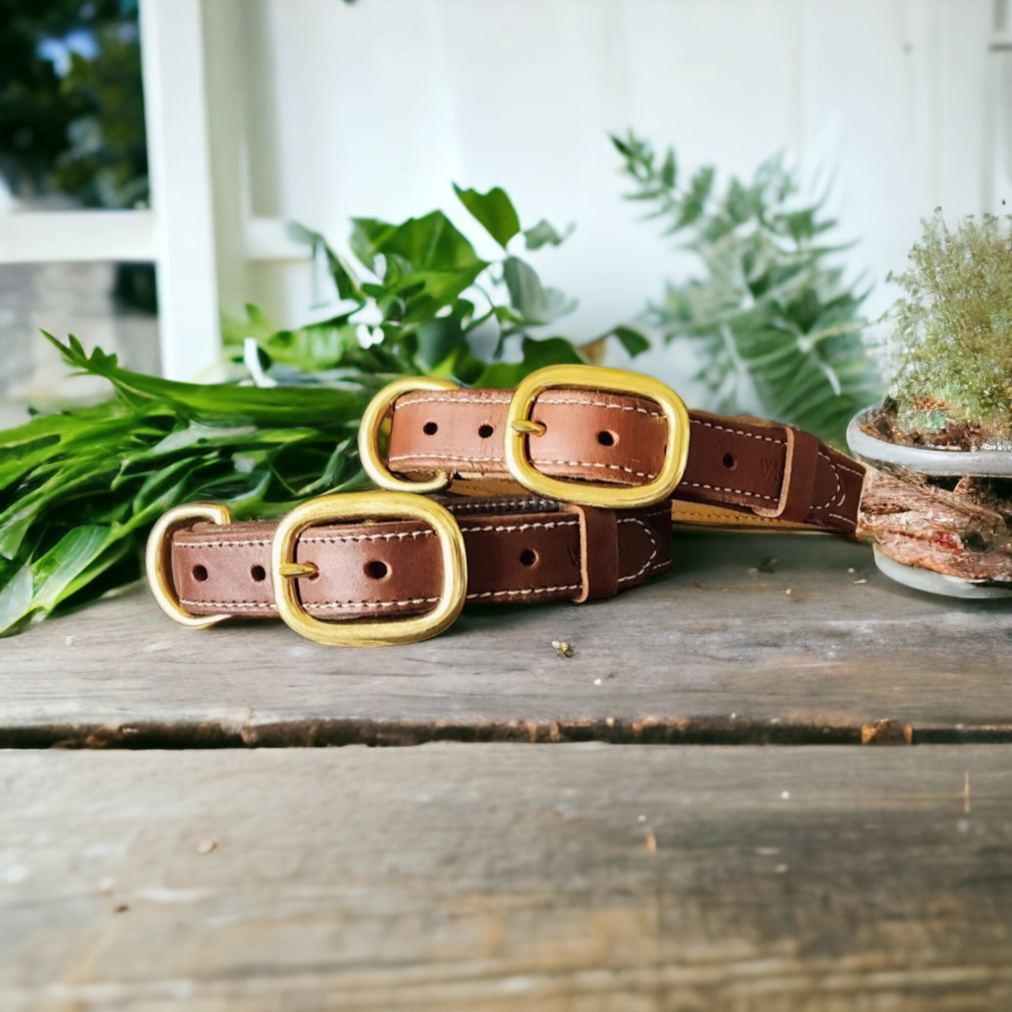 Lined Working dog collars