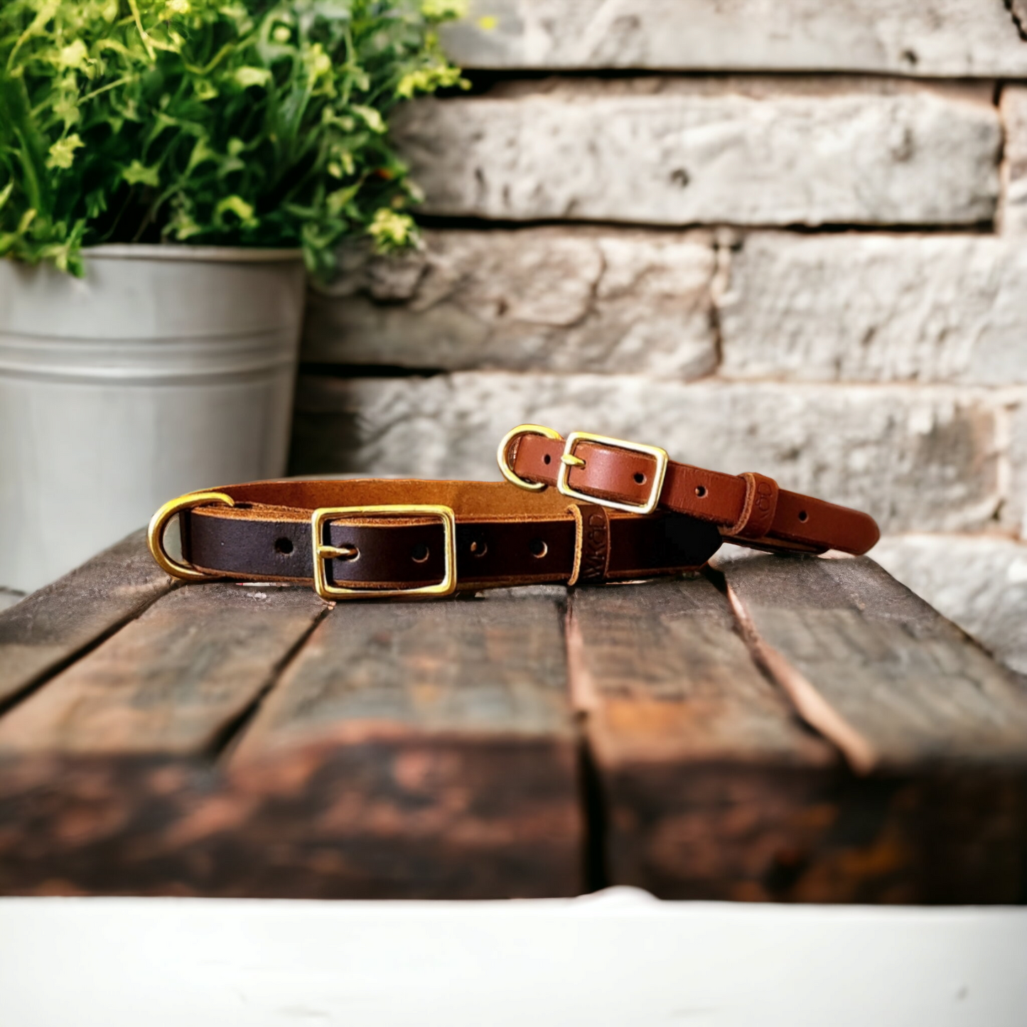 Country style dog collars with rectangle buckle