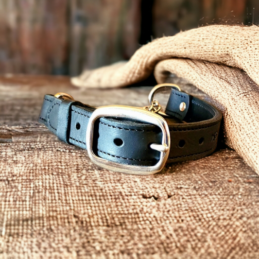Lined Leather Martingale collars