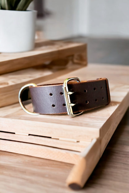 5cm wide leather dog collar