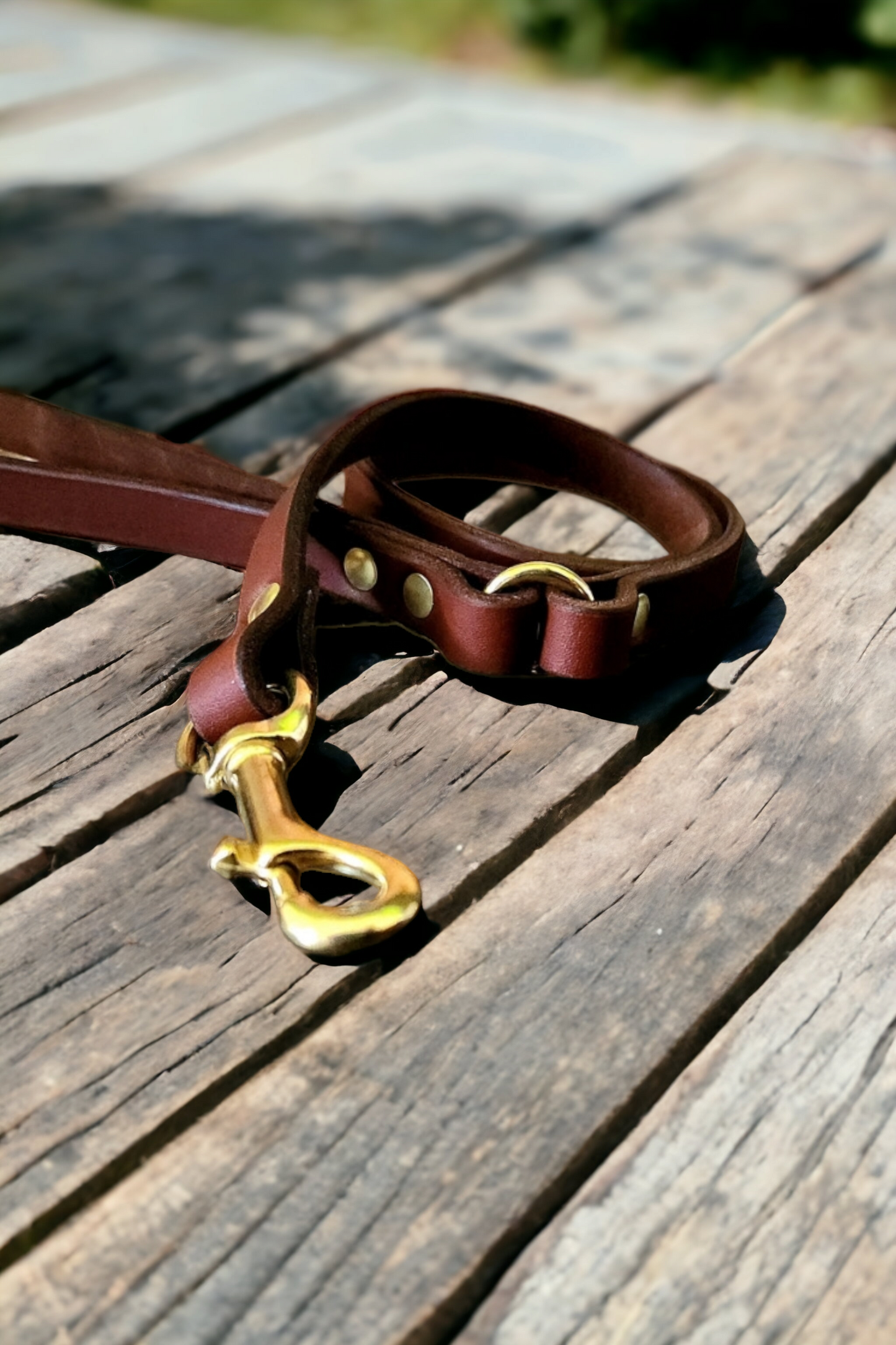 Light weight brass leashes perfect for small breeds