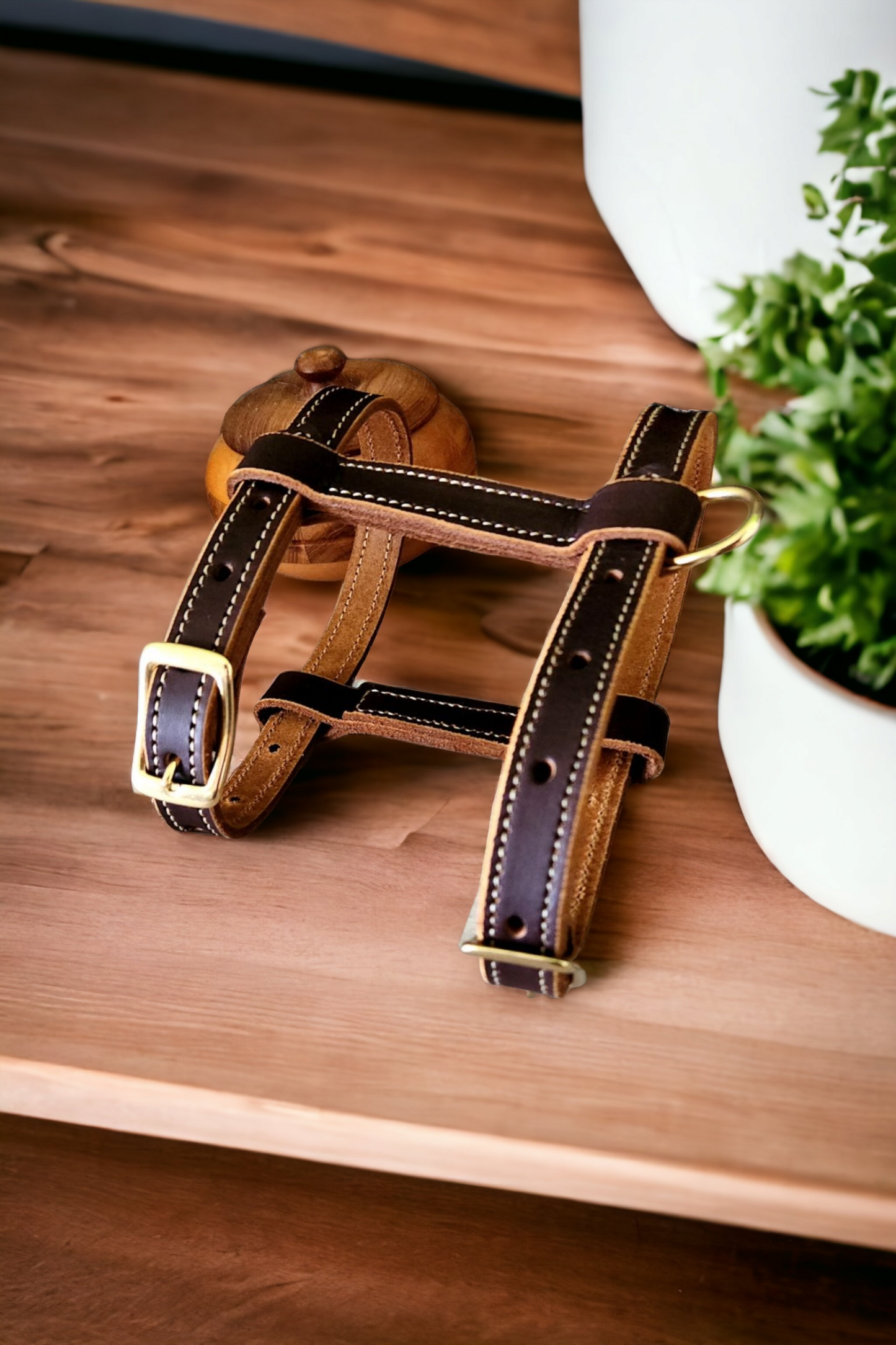 Strap harness