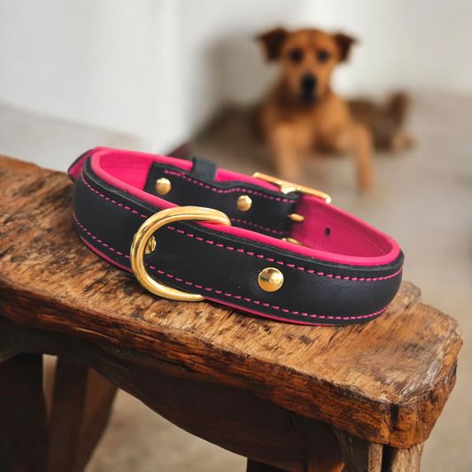 Middle d ring leather dog collars