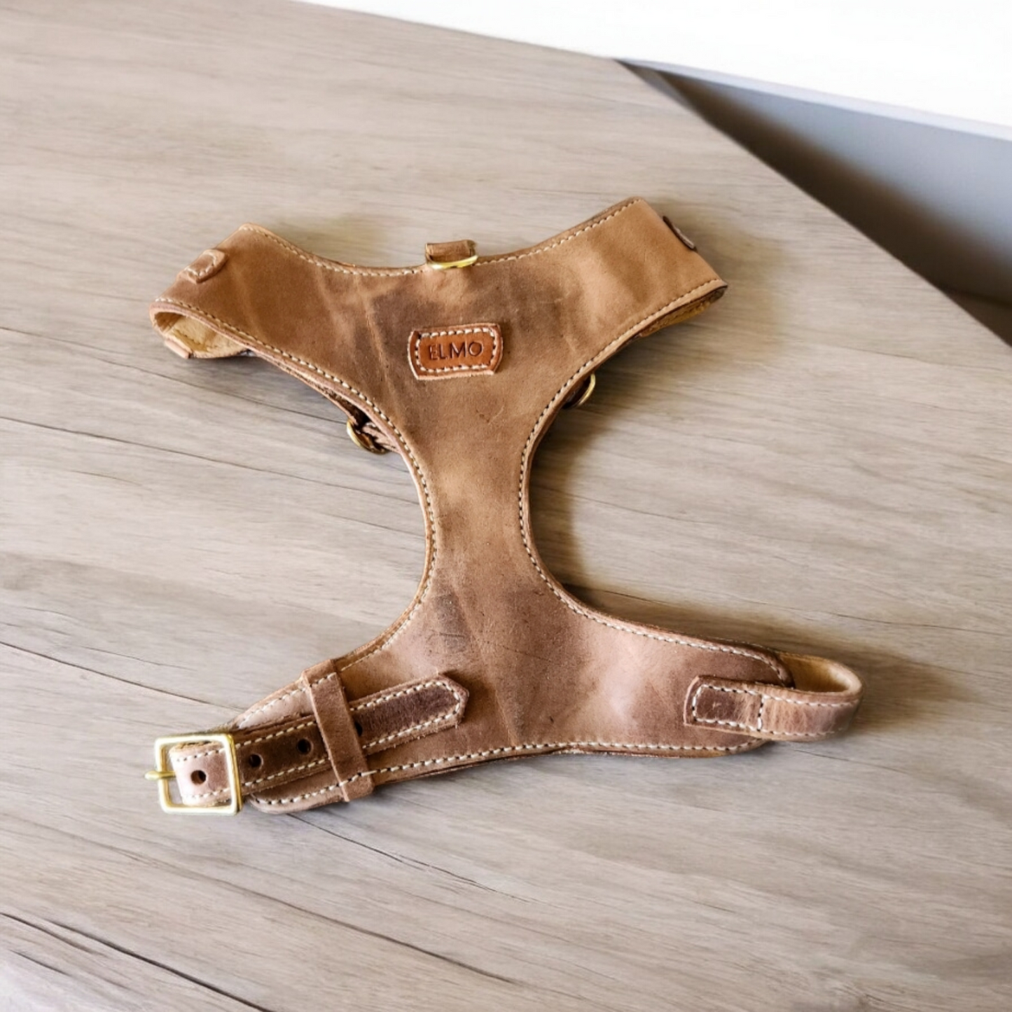 "Amelia" Whisky Australian leather dog harness