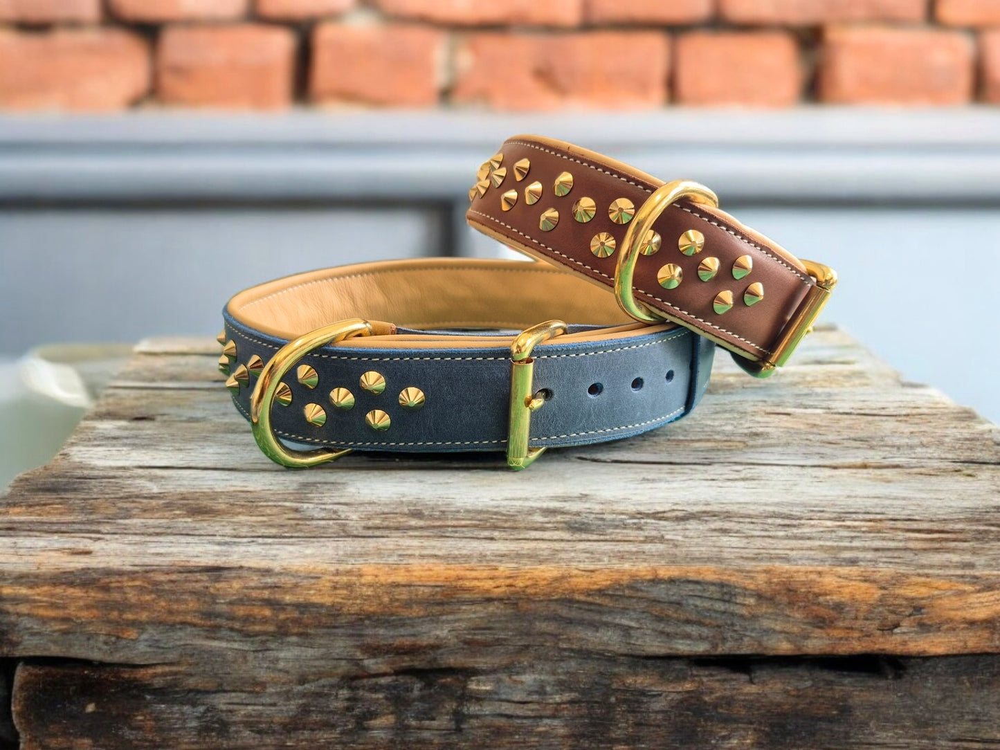 Studded leather dog collar 