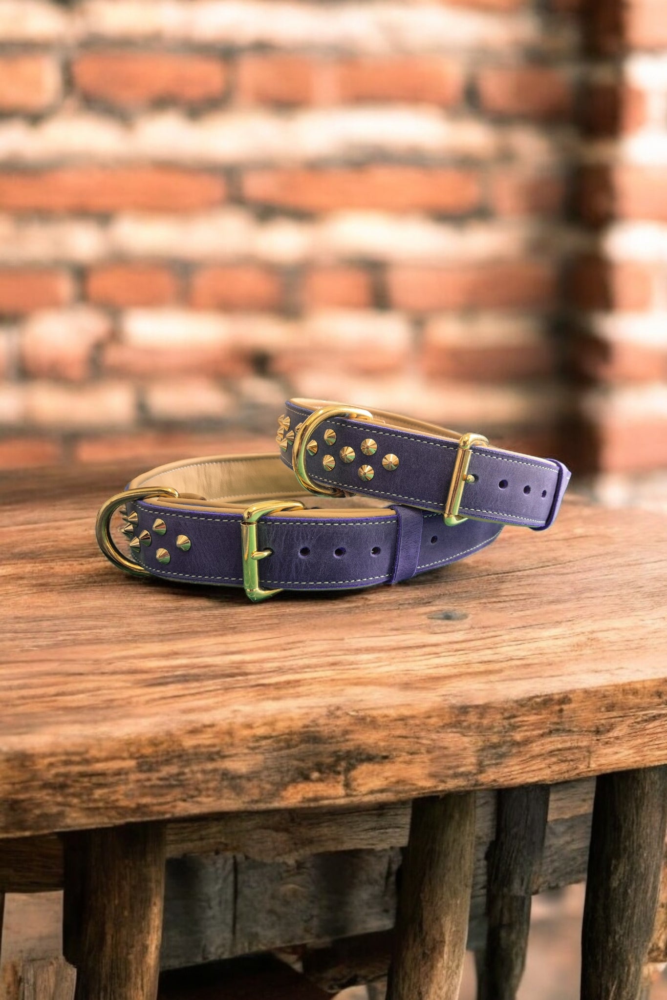 Studded leather dog collars 