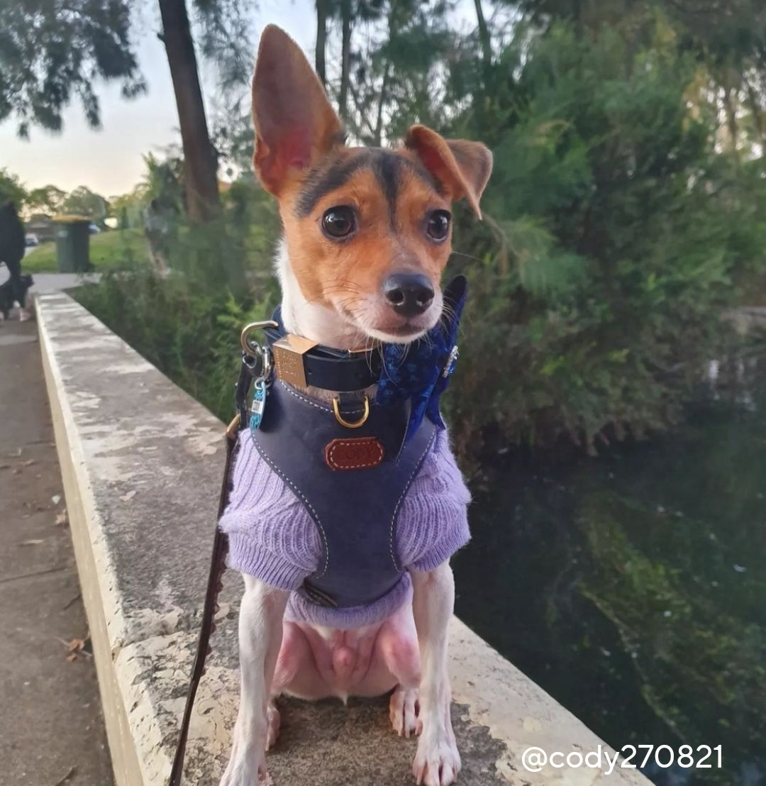 "Amelia" Blue Australian leather dog harness