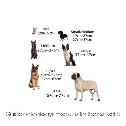 Country style dog collars with rectangle buckle