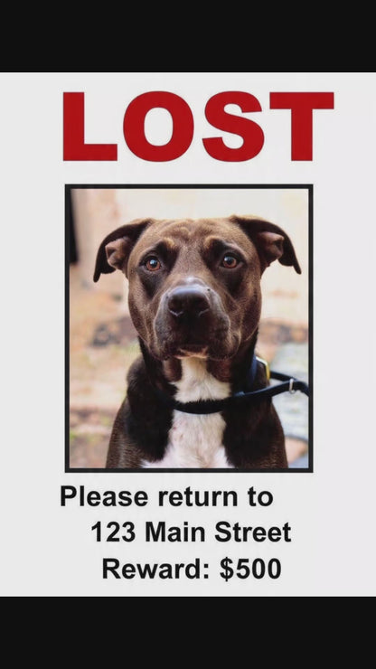 ID & Medical ID Leather Collars