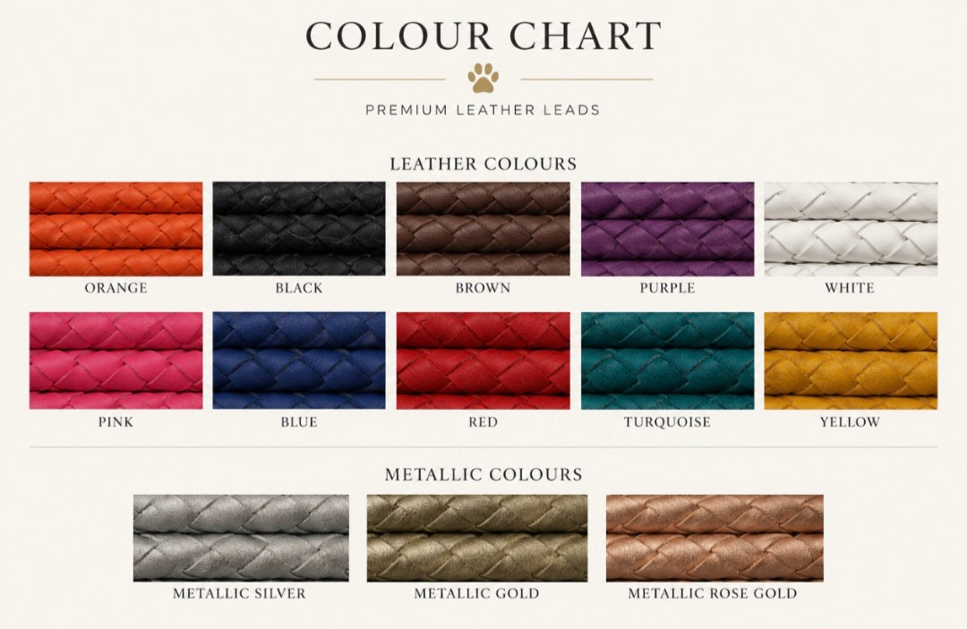 2.5m Hand braided show slip leads