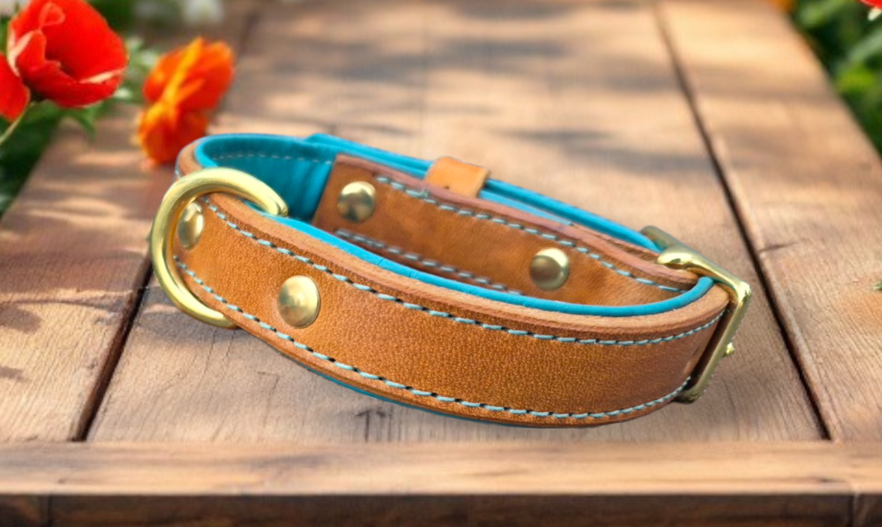 Middle d ring leather dog collars
