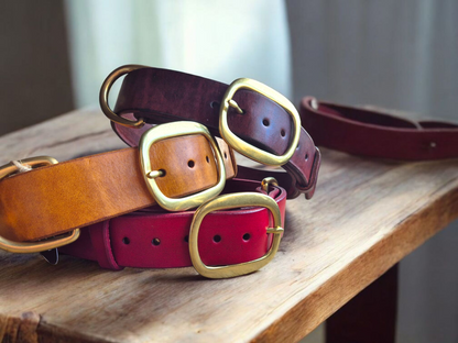 The working or larger, leather dog collar in brass swage buckles