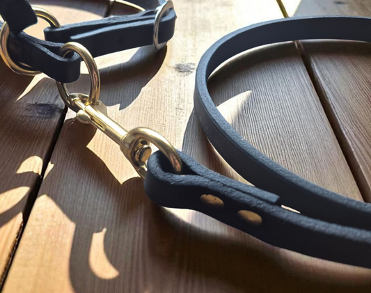 500mm long lead with handle