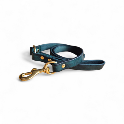 Leather dog leashes
